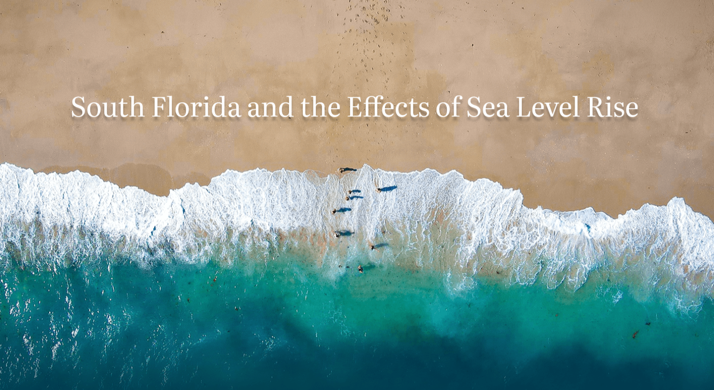 Homepage image to South Florida Seas Project